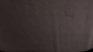 Privacy Window Cover